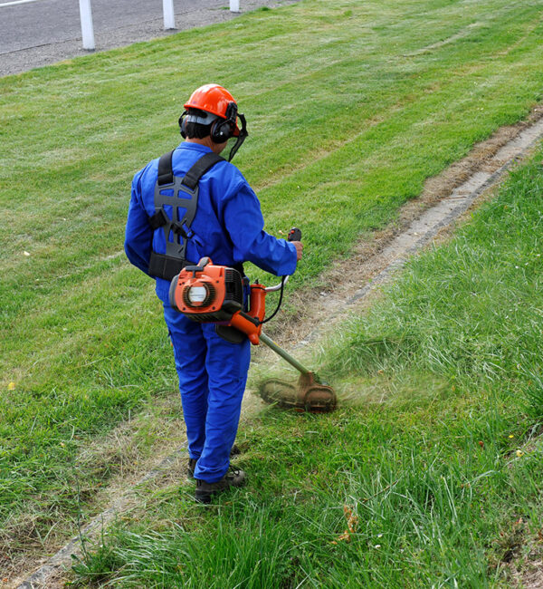 Fauchage et débroussaillage