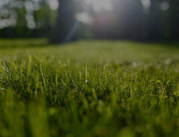 Jardinage