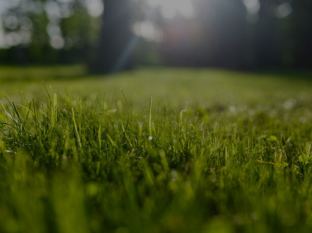 Jardinage